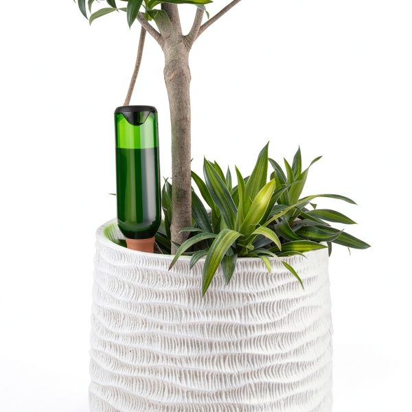 Terracotta Plant Watering Spikes Softassilk Automatic Timer-4